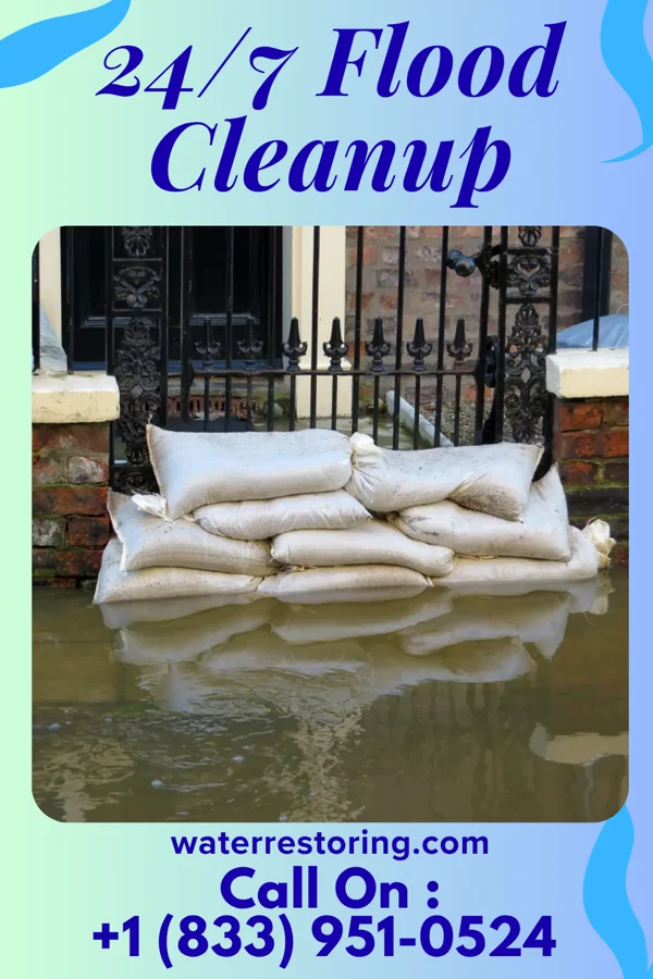 24/7 Flood Cleanup in Carson City, MI