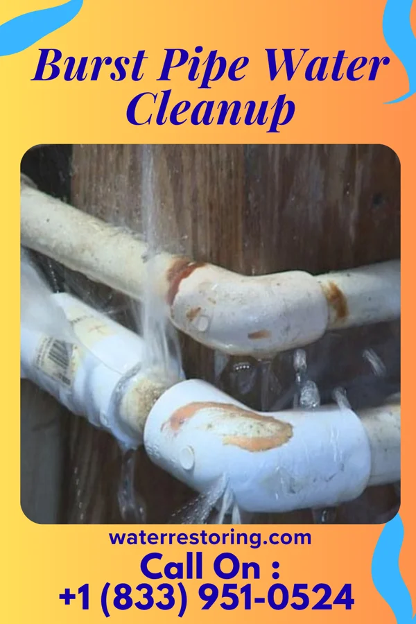 Burst Pipe Water Cleanup in Carson City, MI
