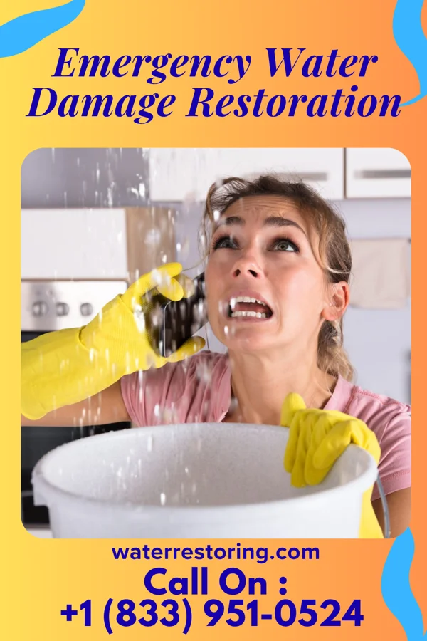 Emergency Water Damage Restoration in Carson City, MI