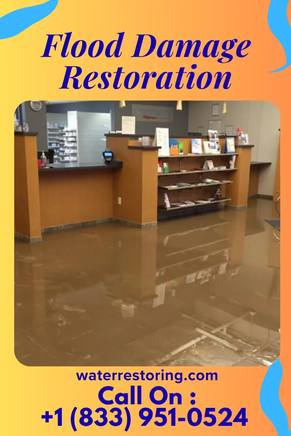 Flood Damage Restoration in Carson City, MI