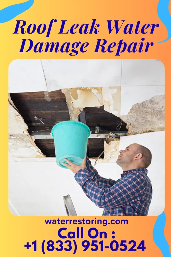 Roof Leak Water Damage Repair in Carson City, MI