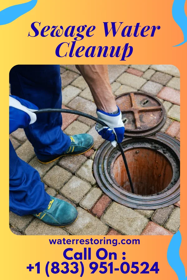 Sewage Water Cleanup in Carson City, MI